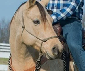 Weaver Leather Silvertip #95 Rope Halter Draft Black - product information 5