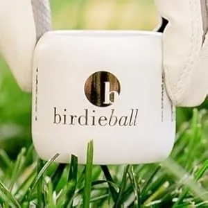 BirdieBall Practice Golf Balls, Limited Flight Golf Balls, Golf Training Balls (Pack of 12) - birdieball practice golf balls