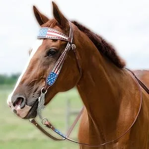 Tahoe Tack Patriotic American Flag Drum Dyed Leather Western Breast Collar(Full Horse Size) - Headstall