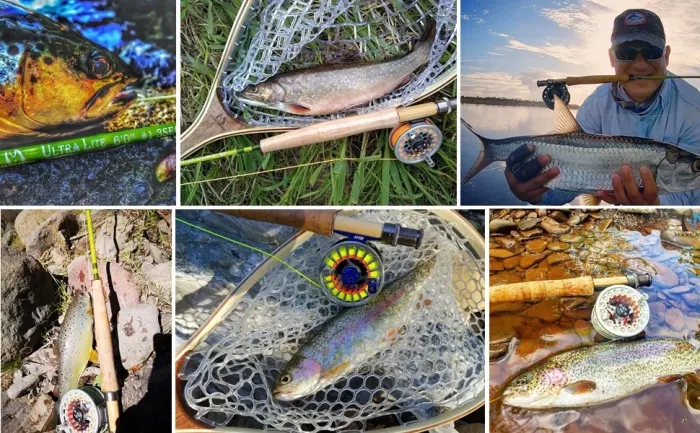 M MAXIMUMCATCH Maxcatch Ultra-Lite Fly Rod for Stream River Panfish/Trout Fishing 1/2/3 Weight and Combo Set Available Ultra-lite Rod Combo 6'6'' 2wt 4pcs - customer 2