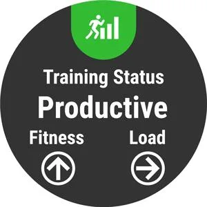 Garmin 010-01746-00 Forerunner 935 Running GPS Unit (Black) - product information 3