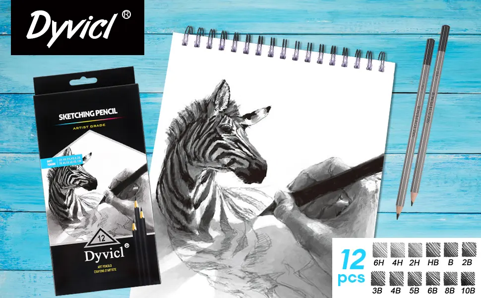 Dyvicl Professional Drawing Sketching Pencil Set - 12 Pieces Drawing Pencils 10B, 8B, 6B, 5B, 4B, 3B, 2B, B, HB, 2H, 4H, 6H Graphite Pencils for Beginners & Pro Artists - drawing pencils, graphite pencils, sketching pencils 6H, 4H, 2H, HB, B, 2B, 3B, 4B, 5B, 6B, 8B, 10B