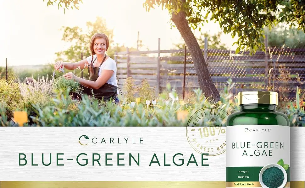 Carlyle Blue Green Algae 500mg | 200 Quick Release Capsules | Chlorella Supplement | Non-GMO, Gluten Free - product information 6