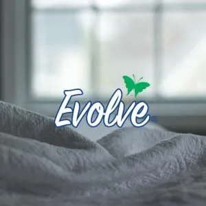 Evolve Concentrated Bleach Tablets, 1- 32ct (Summer Lavender) - Laundry and Cleaning
