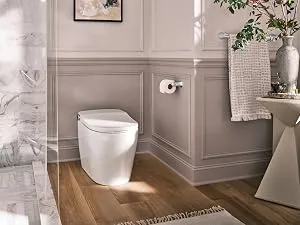 Moen YB8099CH Mason Toilet Paper Roller, Chrome - Moen eBidets and eToilets