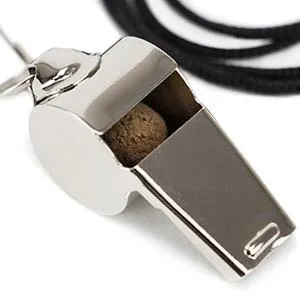 Crown Sporting Goods SCOA-001 Stainless Steel Whistle with Lanyard  Great for Coaches, Referees, and Officials by - coach referee ref whistle lifeguard metal officials umpire
