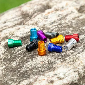 HZJD Presta Valve Adapter, Convert Presta to Schrader Adaptor for Bike, Inflate Tire Using Standard Pump or Air Compressor(10PCS) - Presta Valve Adaptors