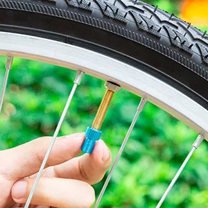 HZJD Presta Valve Adapter, Convert Presta to Schrader Adaptor for Bike, Inflate Tire Using Standard Pump or Air Compressor(10PCS) - Presta Valve Adaptors