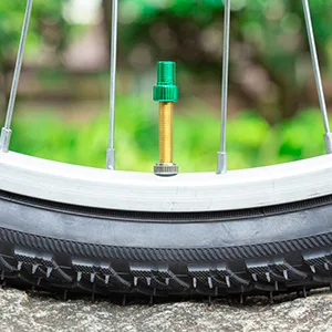 HZJD Presta Valve Adapter, Convert Presta to Schrader Adaptor for Bike, Inflate Tire Using Standard Pump or Air Compressor(10PCS) - Presta Valve Adaptors