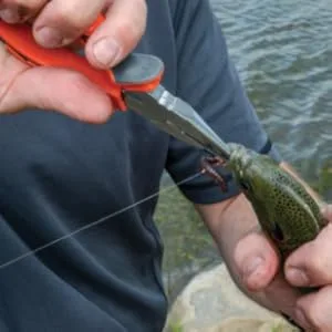 SOUTH BEND Worm Bait Box - Fishing Storage Tackle - tools