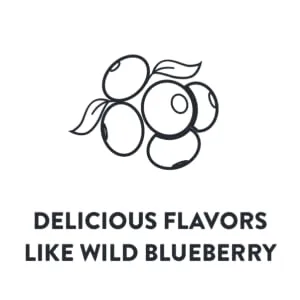 Krusteaz Gluten Free Honey Cornbread Mix, Made with Real Honey, 15 oz Box - Delicious flavors like wild blueberry