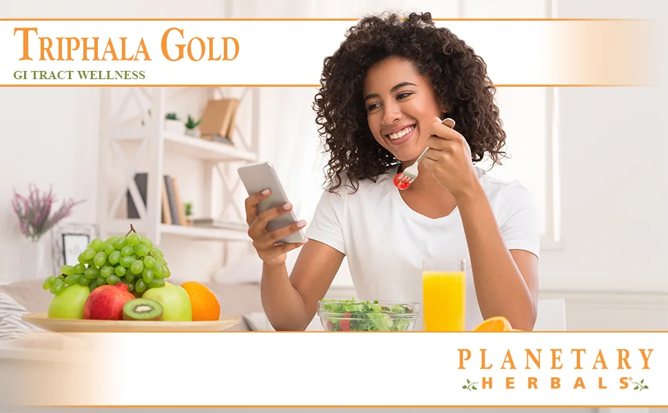Planetary Herbals Triphala Gold 1000mg - 60 Tablets - Triphala Gold