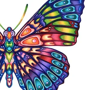 COPIC Alcohol Sketch Marker, 0, 0 Colorless Blender - butterfly, illustration