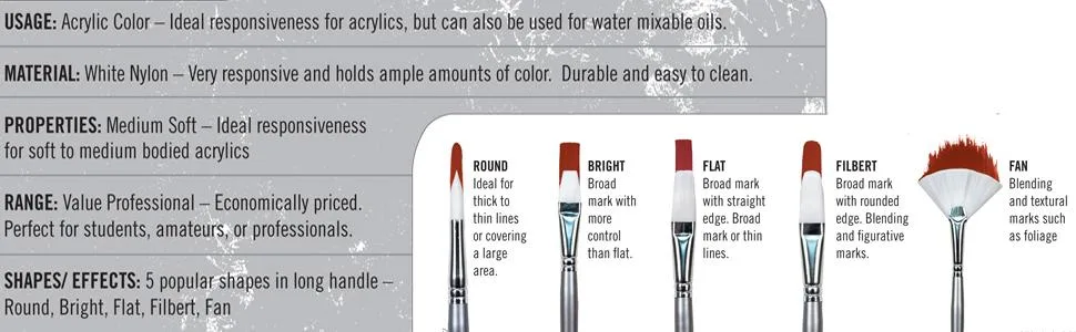 Liquitex Basics Paintbrush, No. 2, White No. 2 Filbert - product information 2