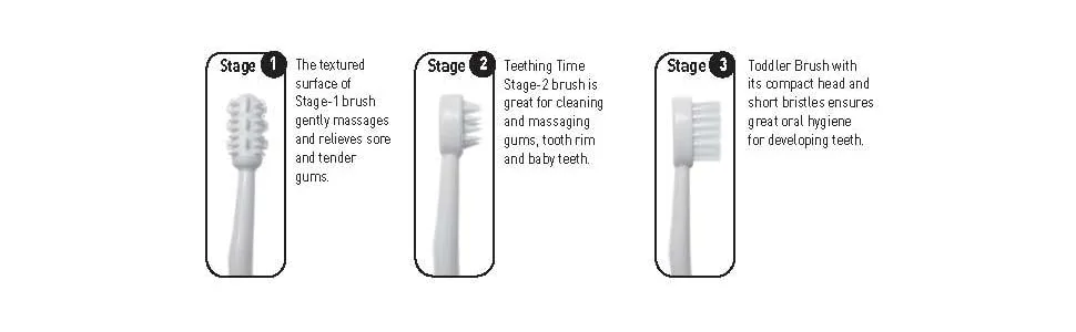 Dreambaby Toothbrush Set 3 Stage, White White 3 Count(pack of 1) - product information 2