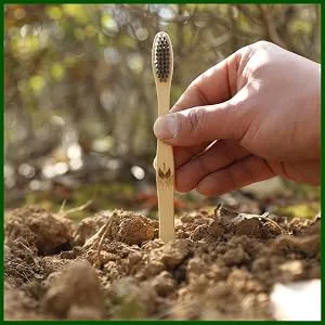 Isshah Biodegradable Eco-Friendly Natural Bamboo Charcoal Toothbrushes - 12 Count - product information 6