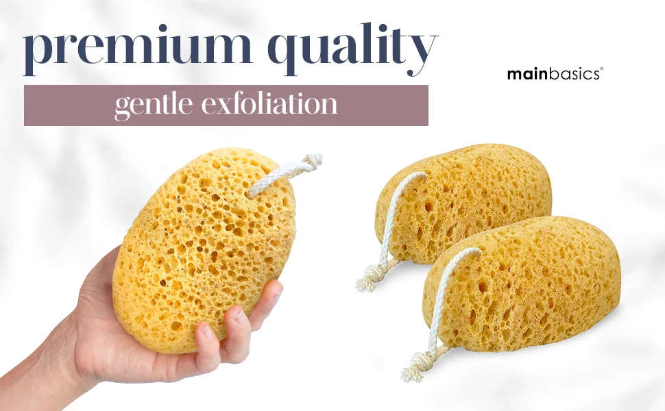 MainBasics Bath Sponges for Shower - Foam Loofah Sponge - Large Soft Texture Exfoliating Body Sponge, 2 Pack - MainBasics Foam Sponge 2 Pack EBC Banner 2
