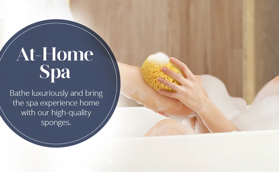 MainBasics Bath Sponges for Shower - Foam Loofah Sponge - Large Soft Texture Exfoliating Body Sponge, 2 Pack - MainBasics Foam Sponge 2 Pack EBC Banner 3