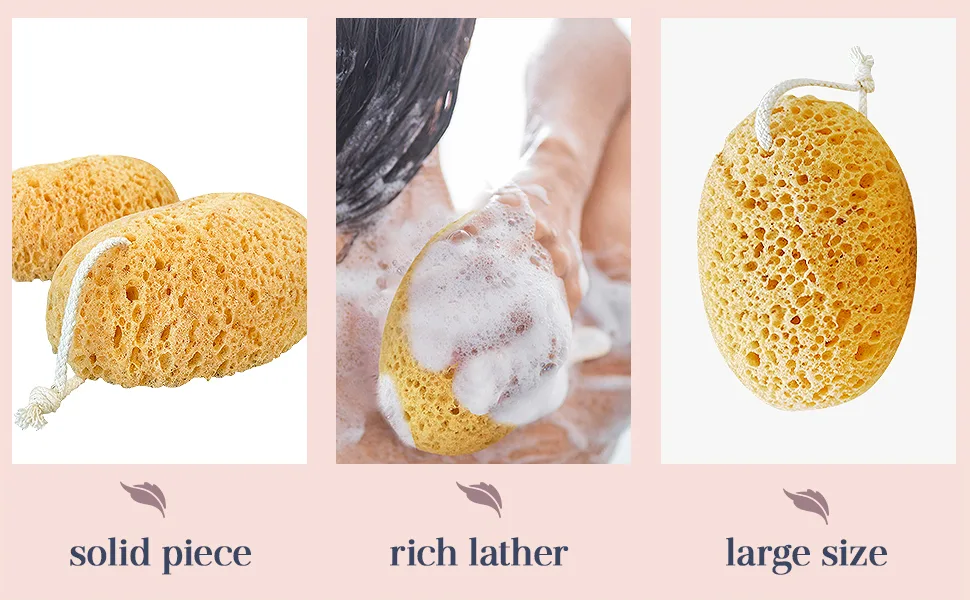 MainBasics Bath Sponges for Shower - Foam Loofah Sponge - Large Soft Texture Exfoliating Body Sponge, 2 Pack - MainBasics Foam Sponge 2 Pack EBC Banner 4