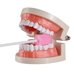 (50 Pack) Disposable Oral Swabs, Sterile Dental Sponge Swabsticks Unflavored for Mouth & Gum Cleaning - Multi functions