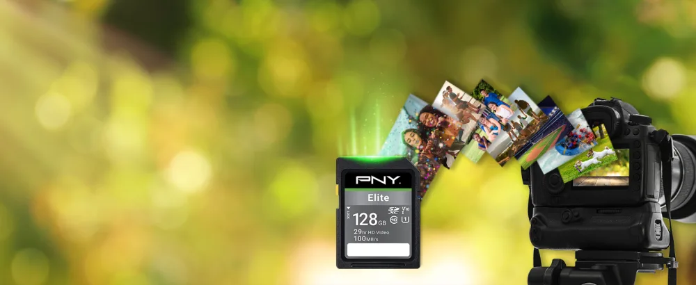 PNY 32GB Elite Class 10 U1 V10 SDHC Flash Memory Card - 100MB/s, Class 10, U1, V10, Full HD, UHS-I, Full Size SD 32GB FLASH CARD - Elite Class 10 U1 V10 SD Flash Memory Card