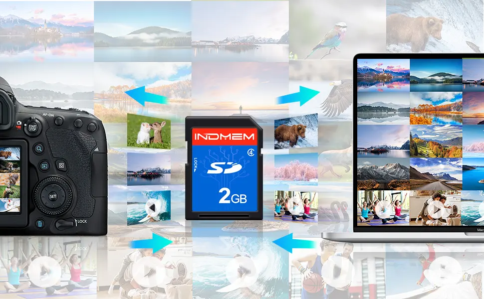 INDMEM SD Card 2GB Class 4 Flash Memory Card 2G SLC Stanard Secure Digital Cards (1PC) - 2gb sd card