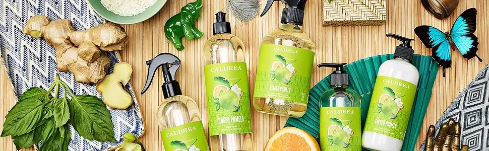Caldrea Dish Soap, Biodegradable Dishwashing Liquid made with Soap Bark and Aloe Vera, Ginger Pomelo Scent, 16 oz Liquid dish soap - Caldrea Aromatherapeutic Living