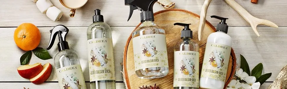 Caldrea Dish Soap, Biodegradable Dishwashing Liquid made with Soap Bark and Aloe Vera, Gilded Balsam Birch Scent, 16 oz Liquid dish soap - Love Gilded Balsam Birch