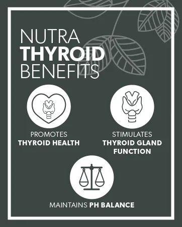 NUTRATHYROID - Thyroid Support Tea | Thyroid Health Tea  Includes Ashwagandha, Kelp & Bladderwrack - Supporting Your Metabolism and Thyroid Function - 20 Enveloped Tea Bags - by Nutra Tea - Herbal Tea 20 Count (Pack of 1) - NutraThyroid - Benefits