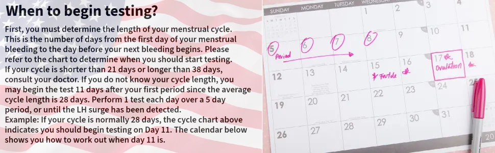 One Step 50 Ovulation Test Strips, LH Fertility Predictor Testing Kits, for Women Tracking When You are Ovulating, Accurate Clear Results - Made in The USA - Ovulation when to begin testing