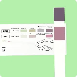 Pregmate 5 Urinary Tract Infection UTI Test Strips Individually Packed (5 Count) - Pregmate urinary tract infection uti test strips color chart