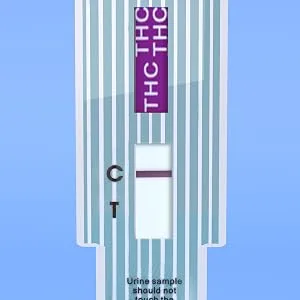 Pregmate Marijuana THC Urnie Drug Test Kit (10 Count) - pregmate marijuana thc tests read reading the results