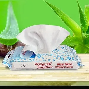 Premium Formulations Shower Solution Ultra Thick No Rinse Bathing Wipes For Post Workouts, Camping, Backpacking, Outdoors and Hiking, Extra Large 10 Wipes 10 Wipes (1 Pack) - Thick Wipes