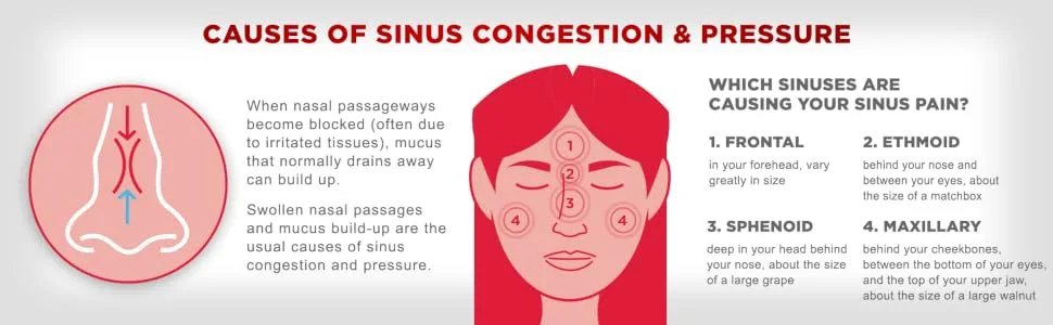 Sudafed PE Head Congestion + Mucus Tablets for Sinus Pressure, Pain & Congestion, 24 ct 24 Count (Pack of 1) - How Maximum Strength Sudafed products work to relieve nasal congestion and sinus pressure