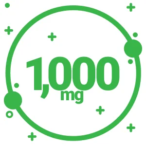 Sundhed Natural Pure Quercetin with Bromelain & Bioperine - Repisratory Health, Immune Support, Anti-oxidant, Anti-inflammatory Action - 1000mg