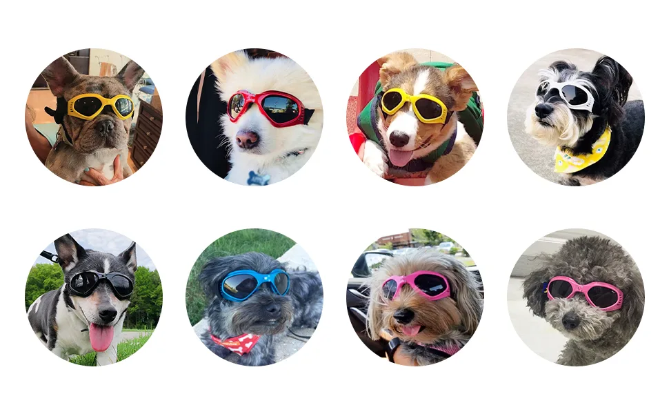PEDOMUS Dog Goggles Small Dog Sunglasses Adjustable Strap for UV Sunglasses Waterproof Protection for Dogs (Black) - product information 2