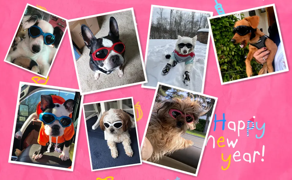 PEDOMUS Dog Goggles Small Dog Sunglasses Adjustable Strap for UV Sunglasses Waterproof Protection for Dogs (Black) - zhedie11