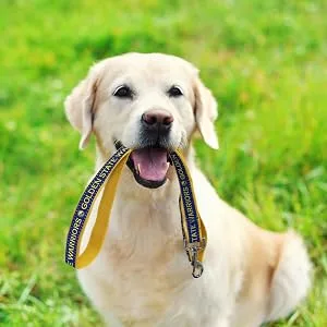 Pets First NFL Pet Leash - product information 5