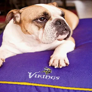 Pets First NFL Pet Leash Small - product information 6