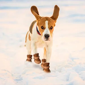 URBEST Dog Shoes with Hook Loop Closure Booties Pet Dog Chihuahua Shoes Boots, 4Pcs (2#, Brown) 2# Brown - Scene map