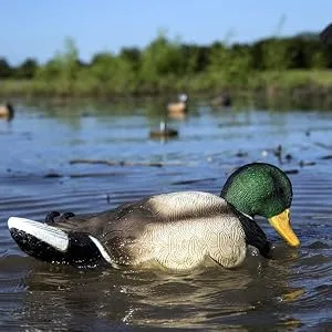 Duck Call Hunting Whistle PVC Duck Call Decoy Caller for Outdoor Hunting Hunter Whistle Accessory - product information 17