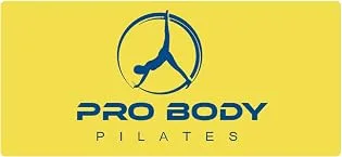 ProBody Pilates Mini Exercise Ball - 9 Inch Small Bender Ball for Stability, Barre, Pilates, Yoga, Balance, Core Training, Stretching and Physical Therapy with Workout Guide Black - ProBody Pilates