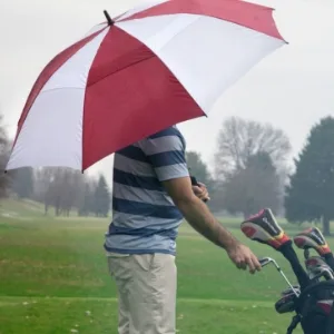 Third Floor Umbrellas Compact Lightweight 46 Inch Automatic Open and Close 210T Teflon 10-Panel Folding Sturdy Travel Windproof Umbrella with Safe Lock Shaft - Great for the outdoors