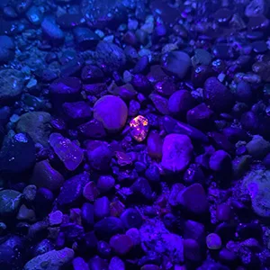 Waklyte Black Light UV Light, 21 LED Mini Black Light Flashlight, Powerful Small UV Flashlight Blacklight Flashlight, Pet Urine Detector Light for Dog/Cat Urine Detection, Resin Curing, Scorpion - Find Fluorescing Rocks and Mineral (Opal, Yooperlite, Flourite, Sodalite, Calcite)