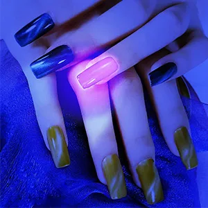 Waklyte Black Light UV Light, 21 LED Mini Black Light Flashlight, Powerful Small UV Flashlight Blacklight Flashlight, Pet Urine Detector Light for Dog/Cat Urine Detection, Resin Curing, Scorpion - Nail Polish Curing