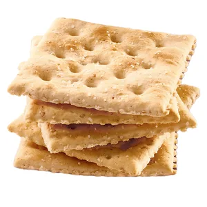 Premium Whole Grain Saltine Crackers, 1.06 lb - image