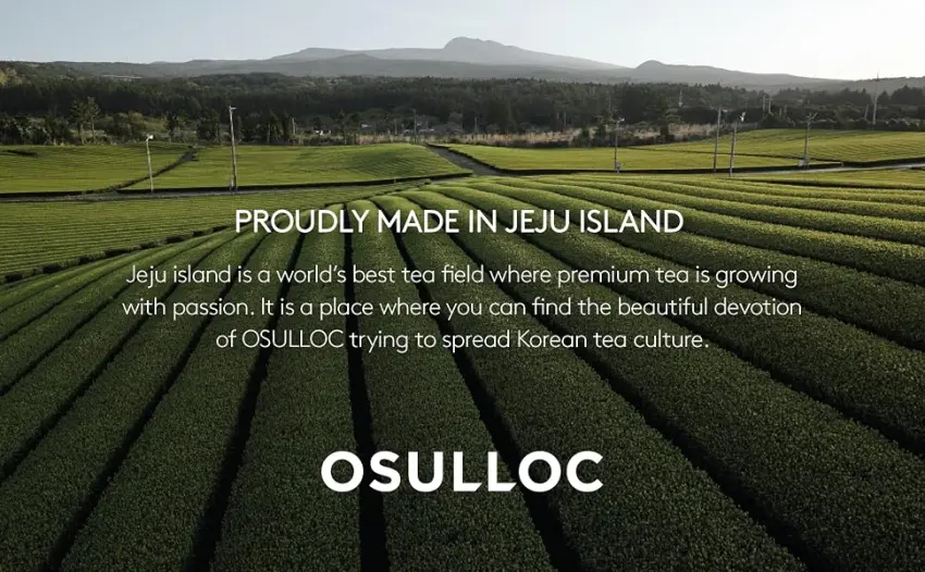 Osulloc Kombucha Tea LycheePeach (Lychee & Peach Blending), Sparkling Powdered Mix Beverage, No added sugar, 10 Sticks, 1.76oz Lychee & Peach 10 Count - JEJU