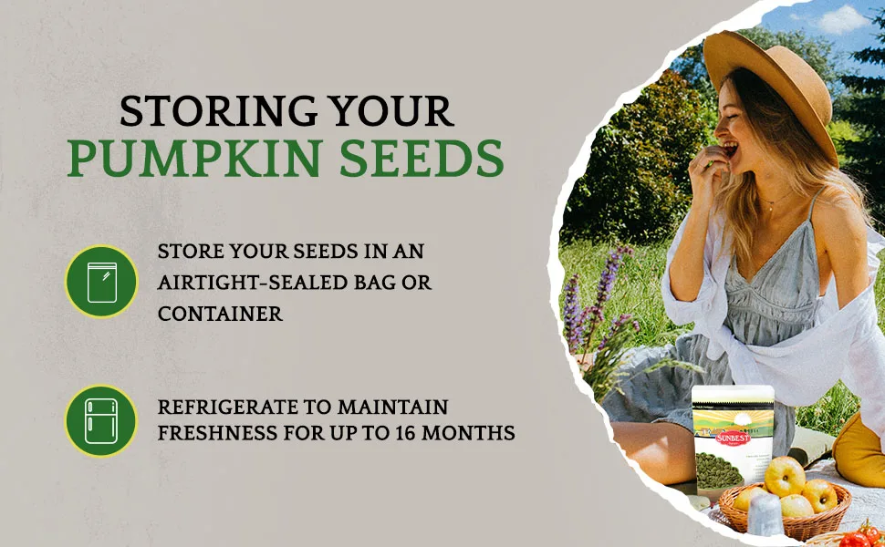 Pumpkin Seeds, Pumpkin Seeds Roasted Salted, Non-GMO Shelled Pumpkin Seeds, Vegan and Kosher Seeds Snacks, 1 Lb. - salt pumpkin seeds