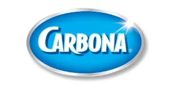 Carbona Oven Cleaner | Grease & Stain Fighting Formula | Odor Free | 16.8 Fl Oz, 1 Pack 1 Pack (16.8 Fl Oz) - carbona