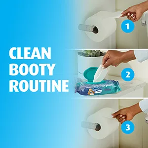 Charmin Flushable Wipes, 4 packs, 40 Wipes Per Pack, 160 Total Wipes 40 Count (Pack of 4) - Clean Booty Routine